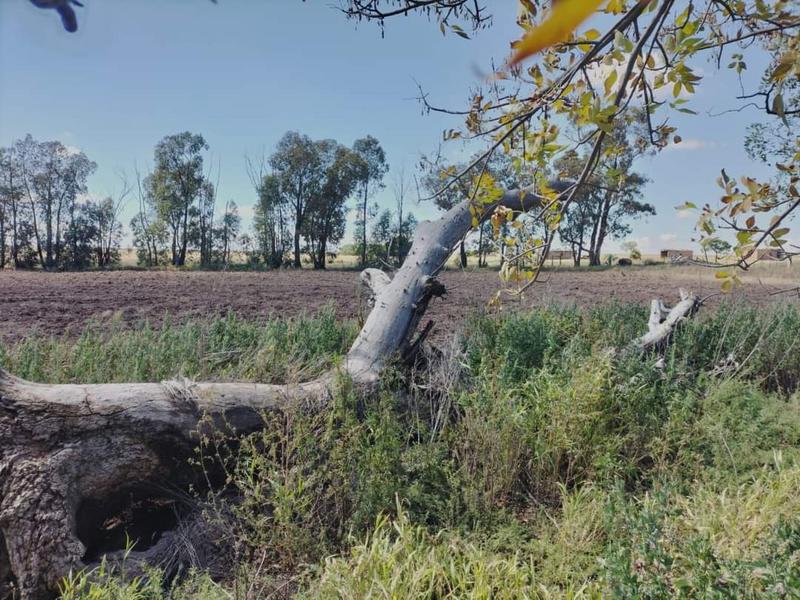 0 Bedroom Property for Sale in Edenburg Free State